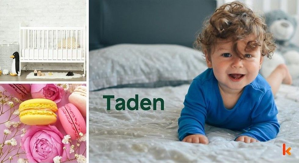 Baby name Taden - cute baby, macarons, crib, flowers, toys