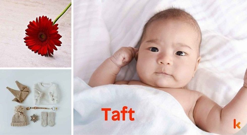 Baby name Taft - cute baby, flowers, clothes