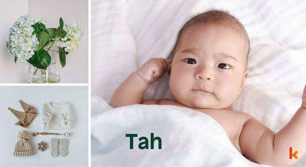 Baby name Tah - cute baby, flowers, clothes