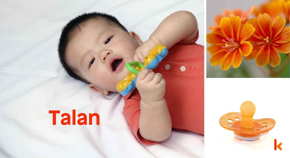 Baby name Talan - cute baby, clothes, flowers, pacifier