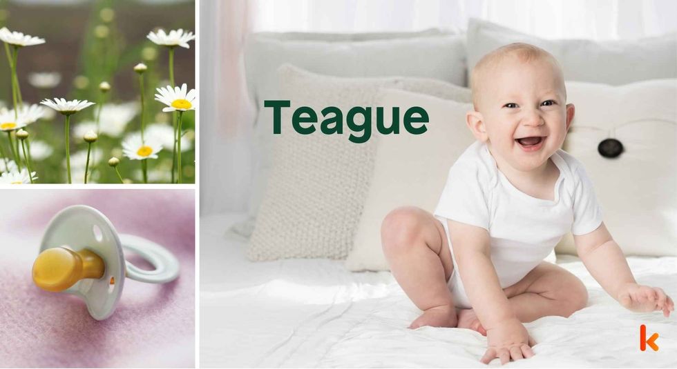 Baby name Teague - cute baby, clothes, flowers, pacifier