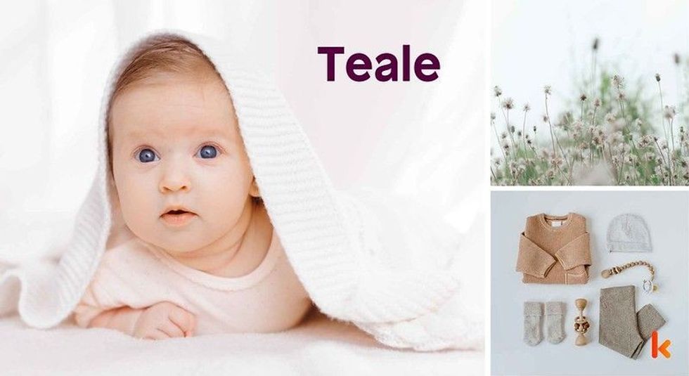 Baby name Teale - cute baby, clothes, flowers