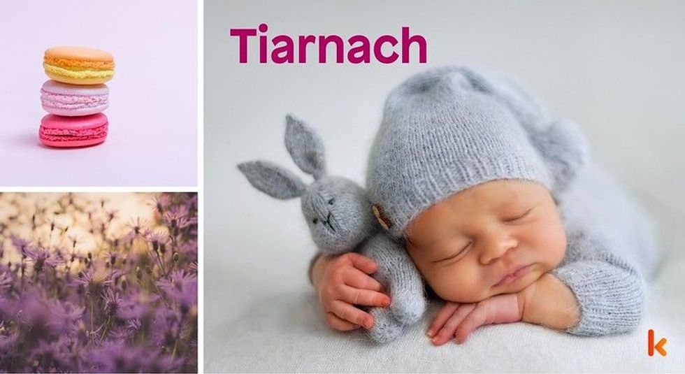 Baby name Tiarnach - cute baby, macarons, flowers