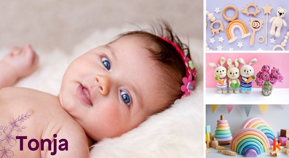 Baby name tonja - bunny soft toys & brick toys