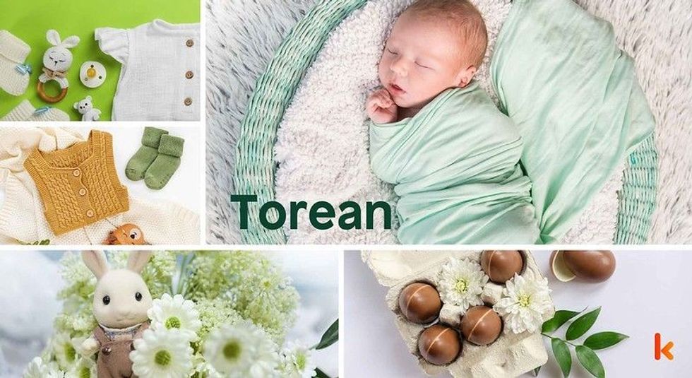 Baby name Torean - cute baby, flowers, baby clothes & crochet toy
