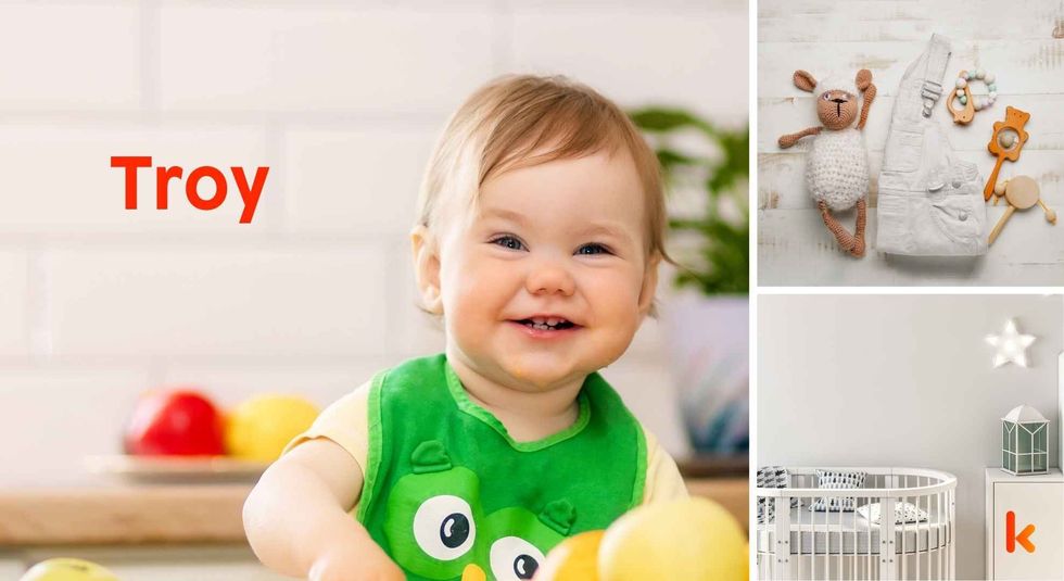 Meaning Of The Name Troy Baby Names Kidadl