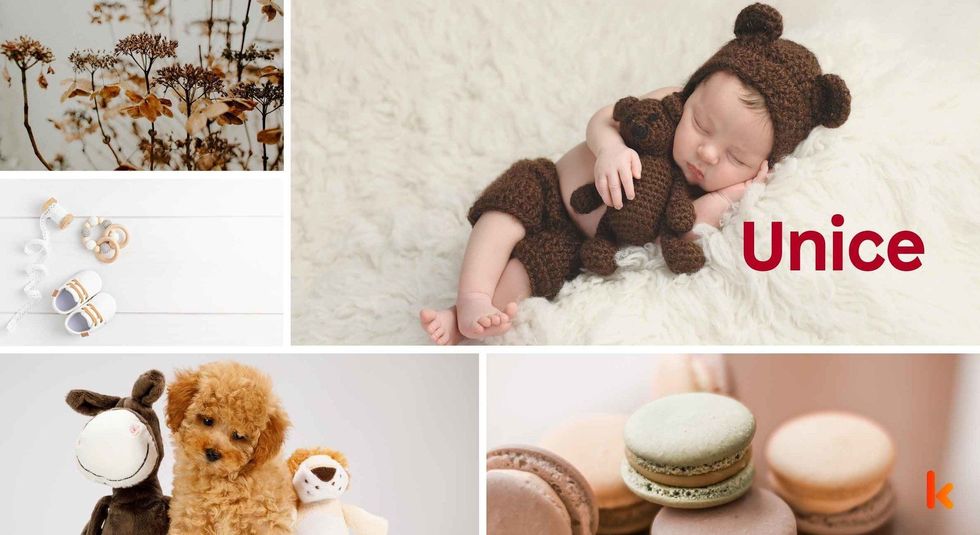 Baby Name Unice - cute baby, flowers, shoes, macarons and toys.