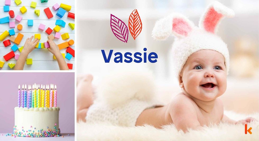 Baby name Vassie - cute baby, cute baby dessert, toys & cake.
