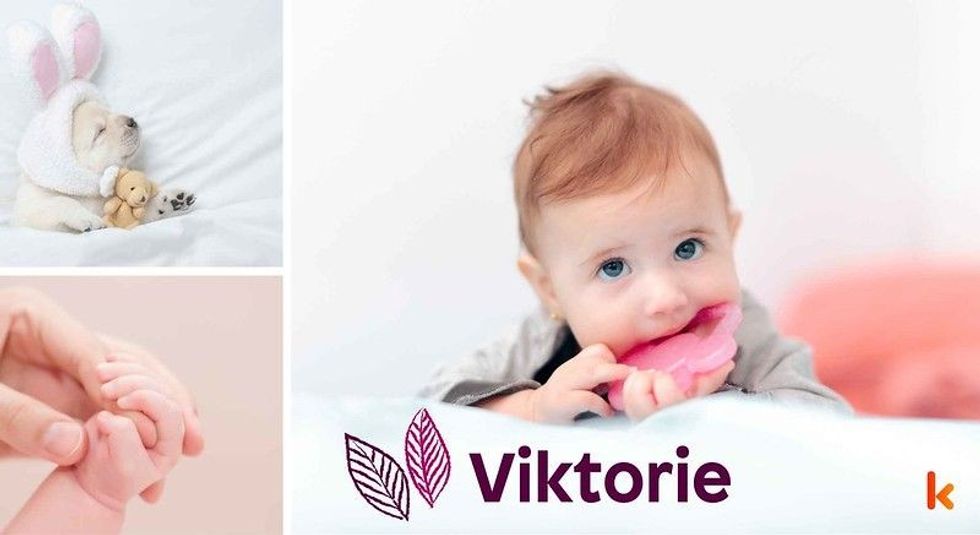 Baby name Viktorie - cute baby & toys