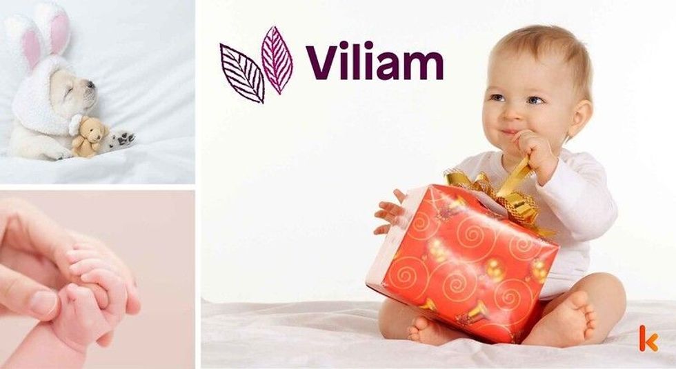 Baby name Viliam - cute baby & toys