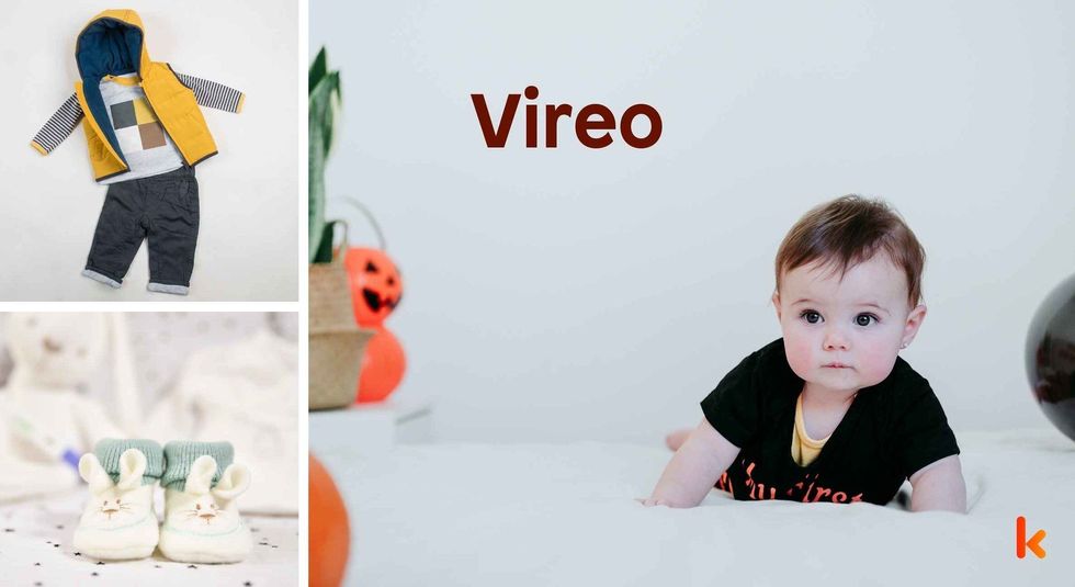 Baby Name Vireo- cute baby, booties, clothes.