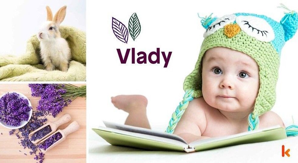 Baby name vlady - cute baby, lavender, bunny