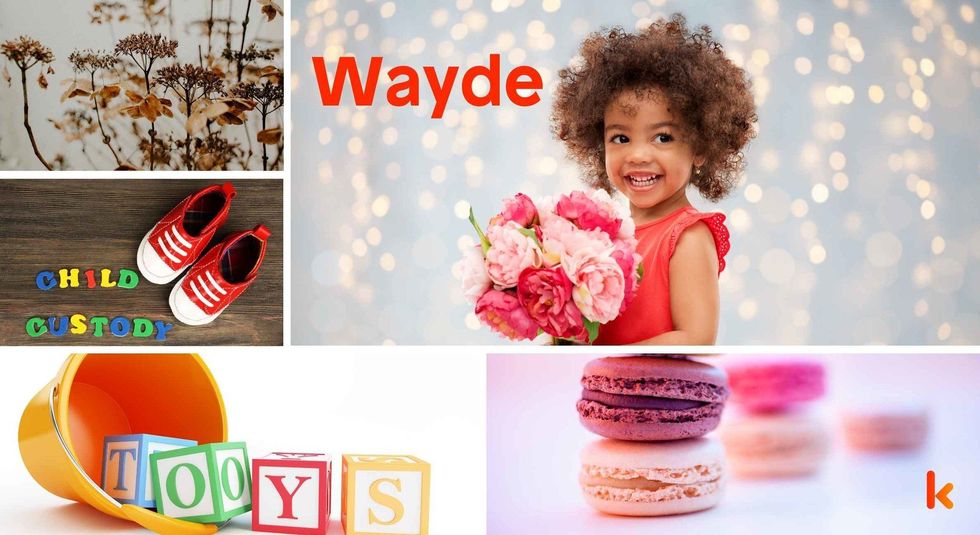 Baby Name Wayde - cute baby, flowers, shoes, macarons and toys.