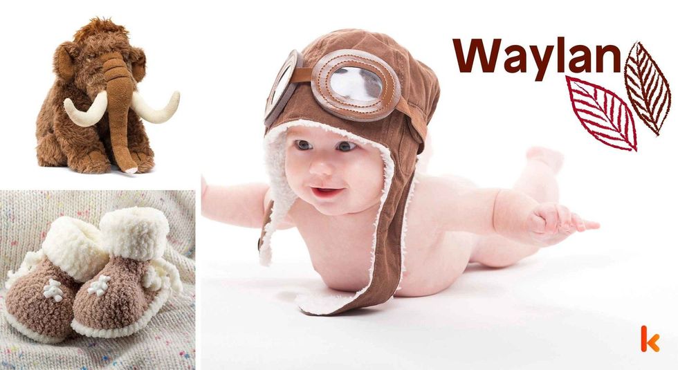Baby Name Waylan - cute baby, shoes and toys.