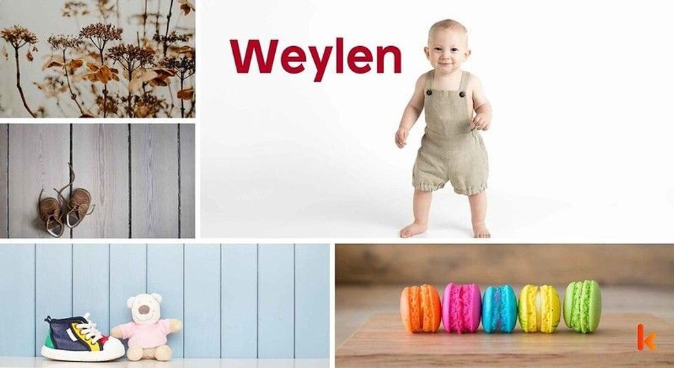 Baby Name Weylen - cute baby, flowers, shoes, macarons and toys