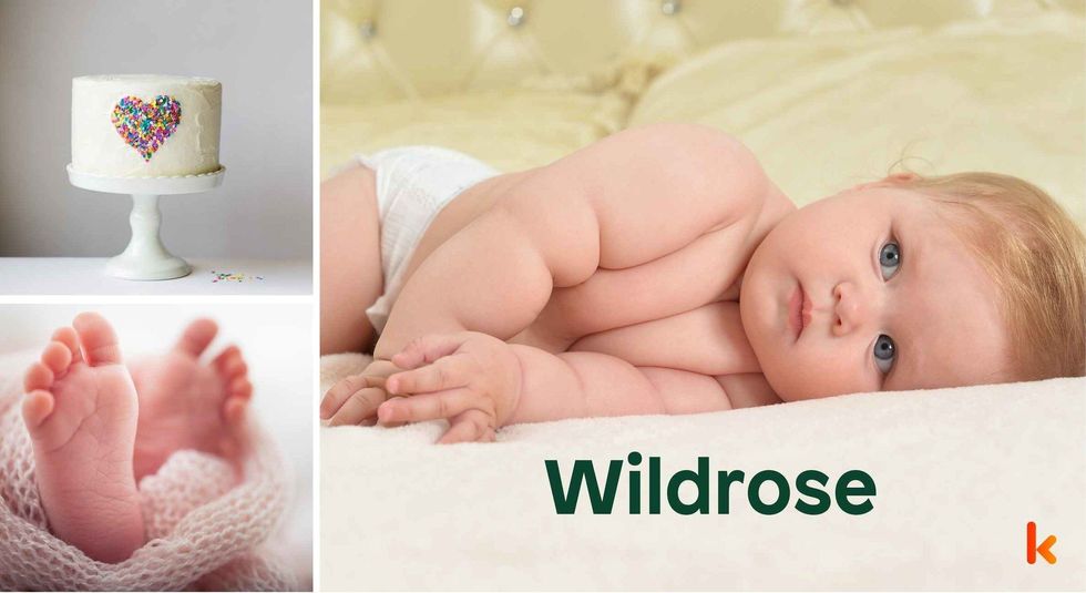 Baby name Wildrose - cute baby, feet, cake .