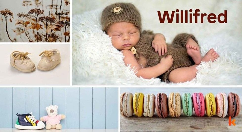 Baby Name Willifred - cute baby, flowers, shoes, macarons and toys.