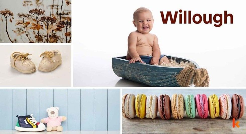 Baby Name Willough - cute baby, flowers, shoes, macarons and toys.