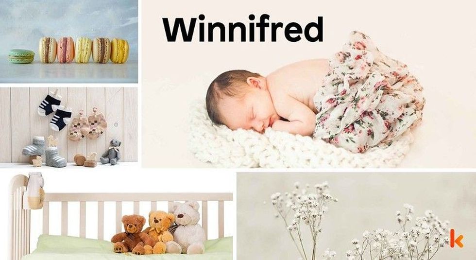 Baby Name Winnifred - cute baby, flowers, shoes, macarons and toys.