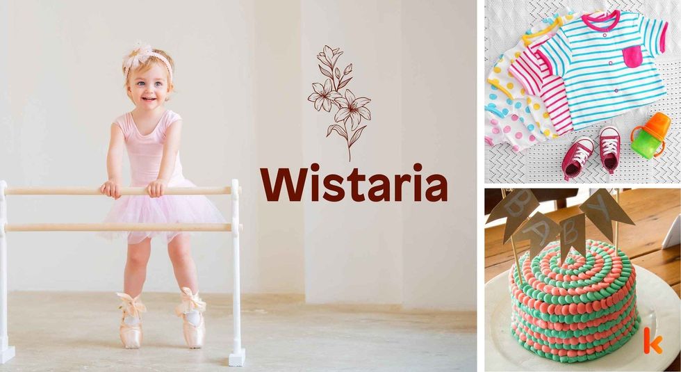 Baby name Wistaria - cute baby, clothes & cake