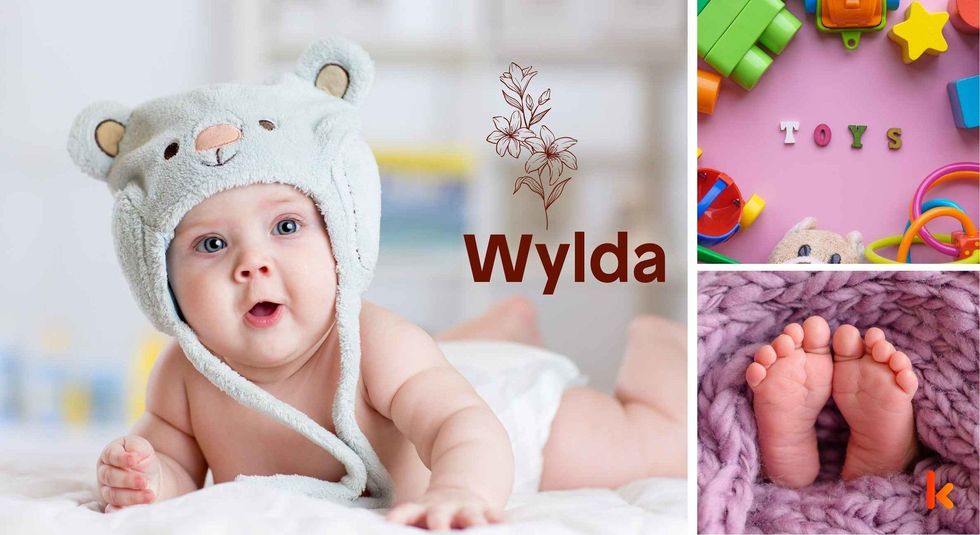 Baby name Wylda - cute baby, toys & feet