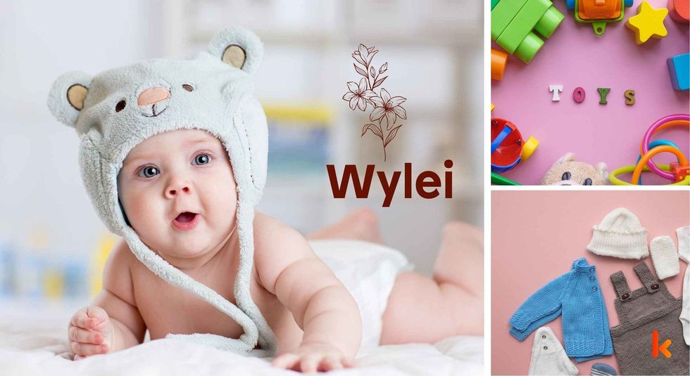Baby name Wylei - cute baby, toys & clothes