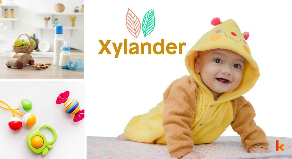 Baby name Xylander - cute baby, wooden toys, milk bottle & teethers.