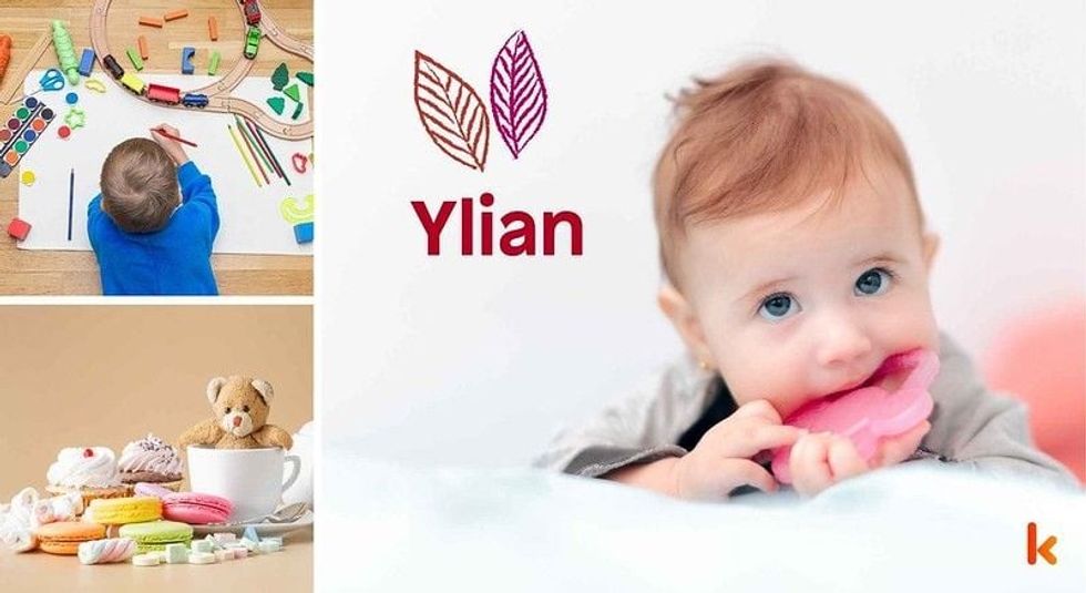 Baby name Ylian - cute baby, baby color toys & baby cakes.