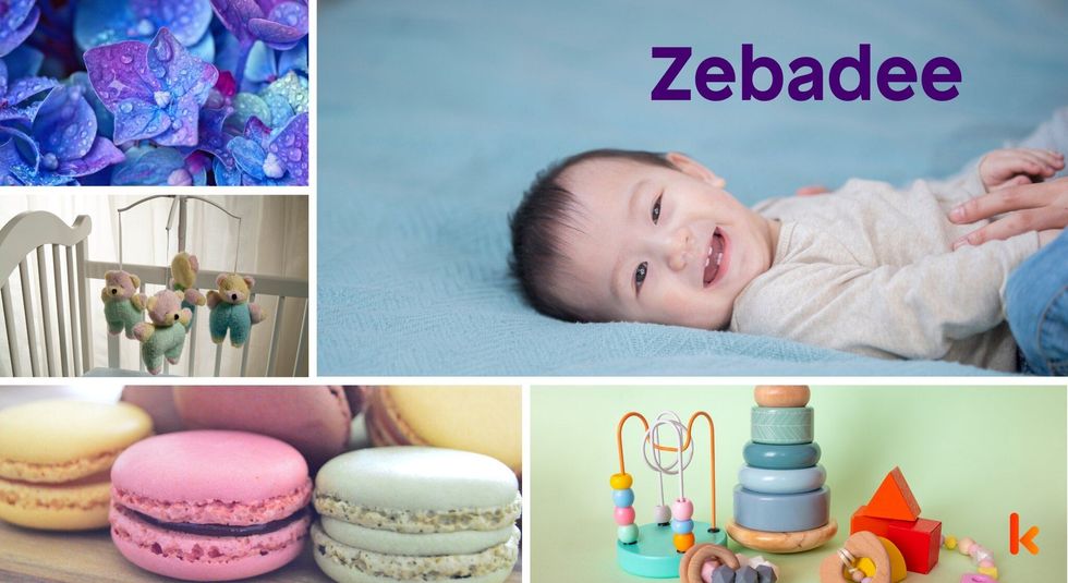 Baby name Zebadee - cute baby, macarons, toys, flower, crib