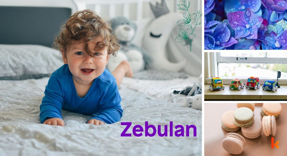 Baby name Zebulan - cute baby, macarons, flower, toys