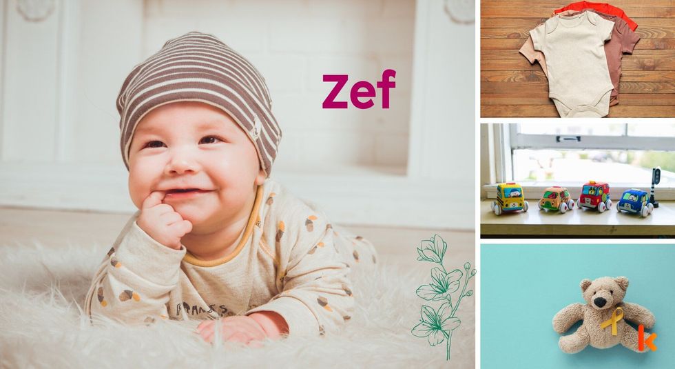 Baby name Zef - cute baby, teddy, clothes, toys