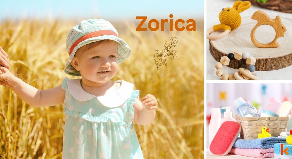 Baby name Zorica - cute baby, toys, accessories, frock