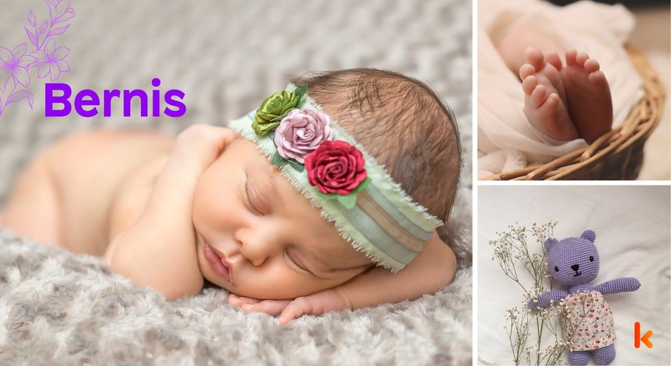 Baby Names Bernis- Cute, baby, tiara, flowers, roses, red, purple, teddy, bear,feet.
