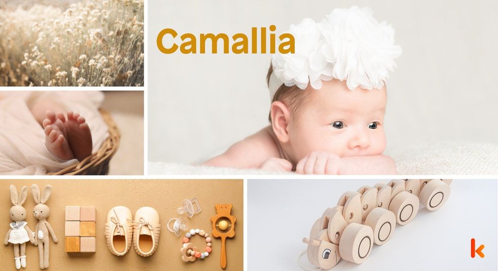 Baby Names Camallia - Cute, baby, yellow, flowers, toys, booties, feet, flowers.