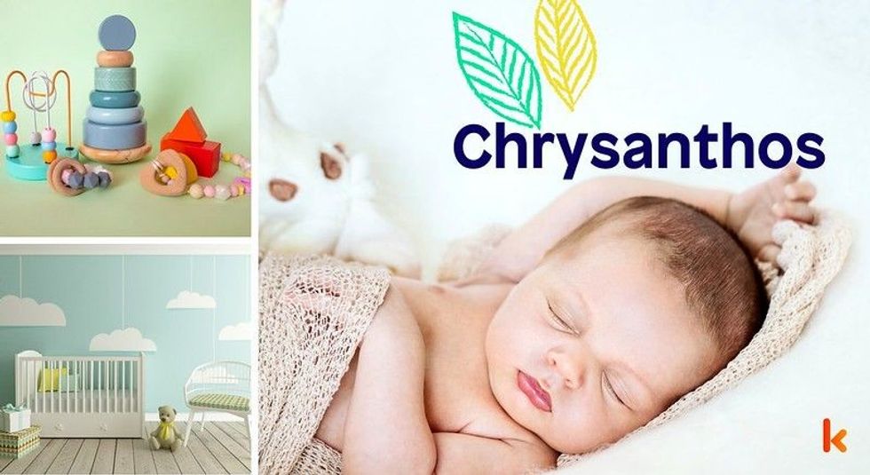 Baby Names Chrysanthos - Cute baby, knitted cloth & toys.