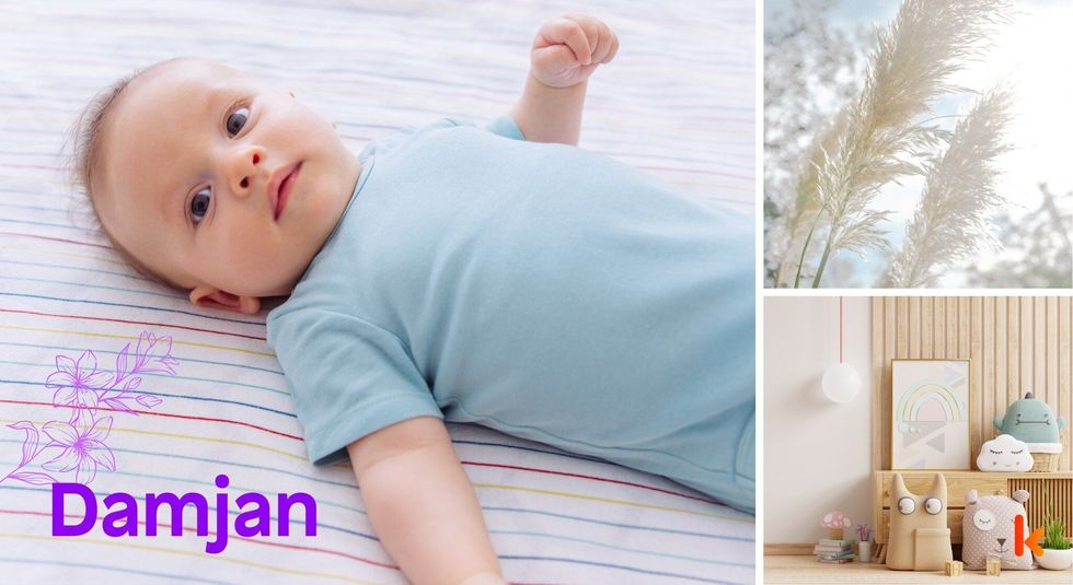 Baby Names Damjan - Cute, baby, feathers & play area.