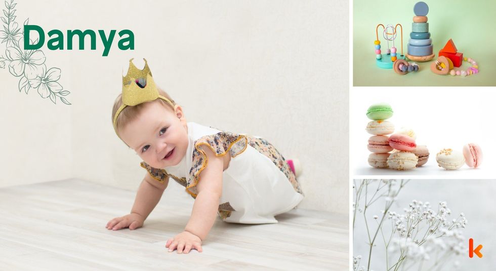 Baby Names Damya - Cute Baby princes, toys & Macrons.