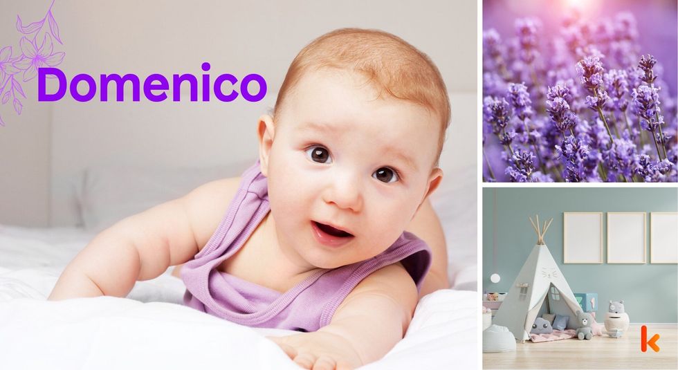 Baby Names Domenico- Cute, baby, purple flowers, toys .