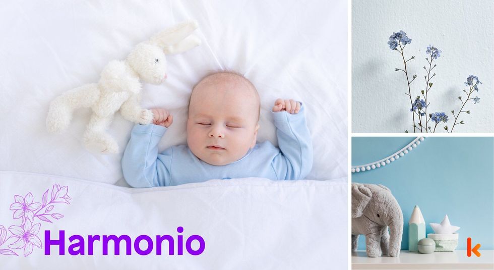 Baby Names Harmonio - Cute baby, romper, knitted bunny, toys, flowers .