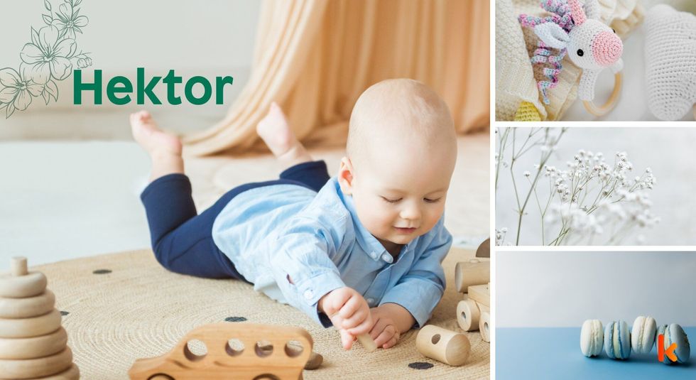 Baby Names Hektor - Cute baby, shirt, macrons, knitted toys & flowers.