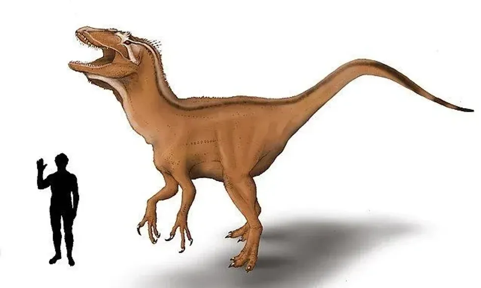 Bahariasaurus facts on a theropod dinosaur.