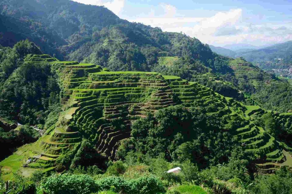 Banaue rice terraces facts will tell you all about the eighth Wonder of the World.