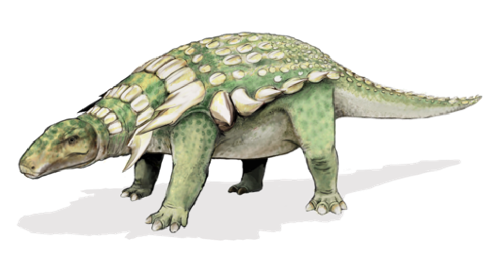 Baotianmansaurus facts are interesting.