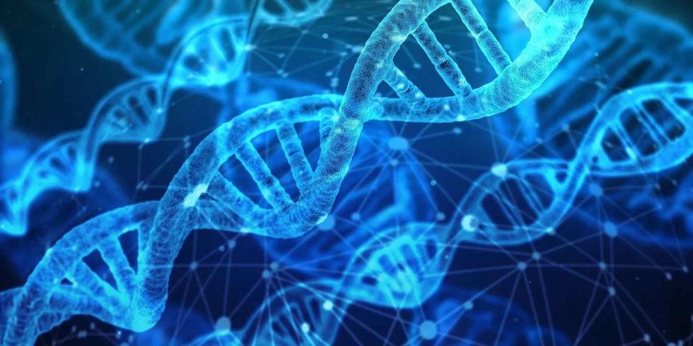 Basic DNA facts for budding biologists.