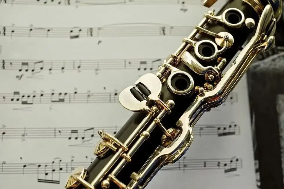 Bass clarinet facts tell us that bass clarinet is a single-reed woodwind instrument.