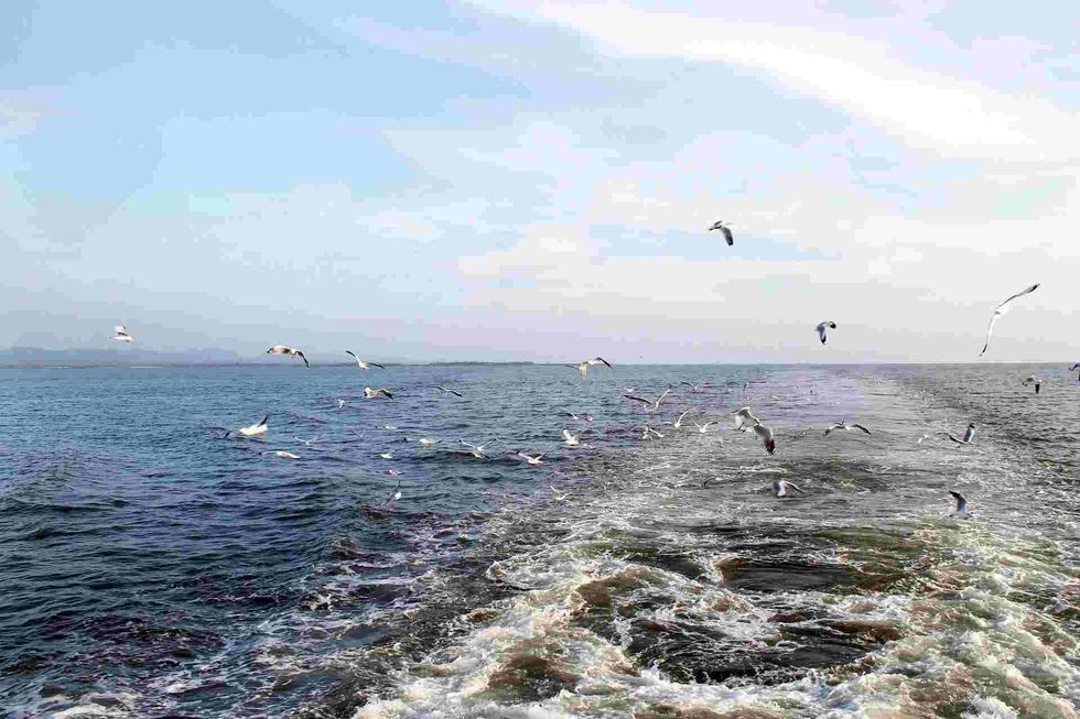 Bay of Bengal is the largest bay on the planet.