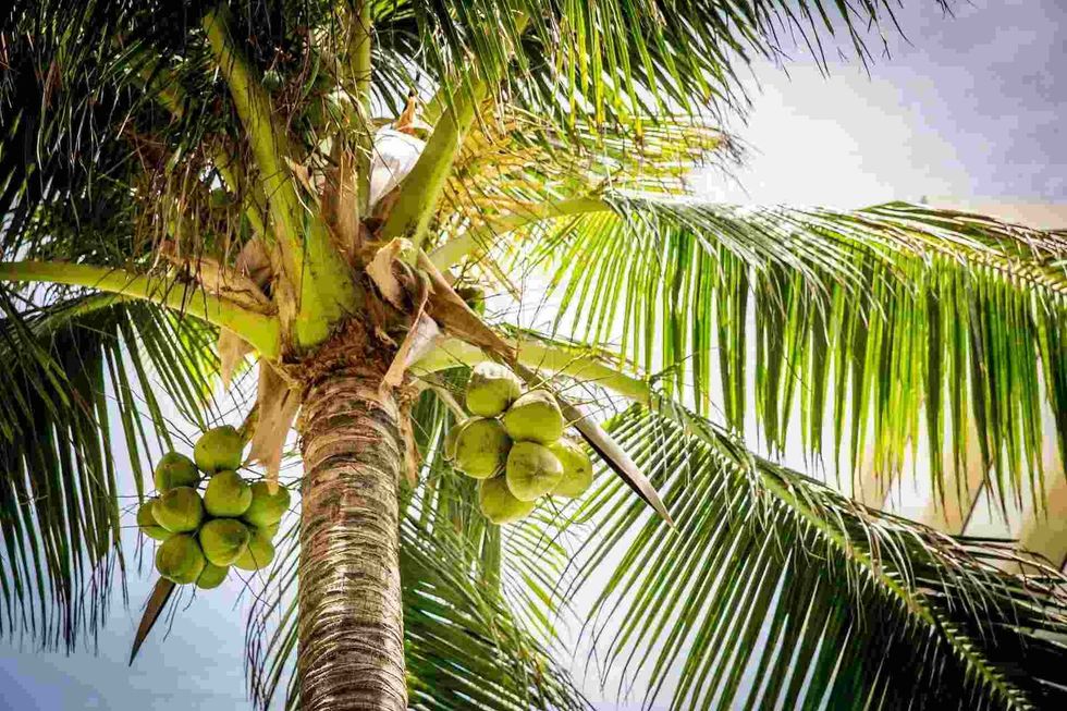 Be it a beachy destination or a sigh of relief