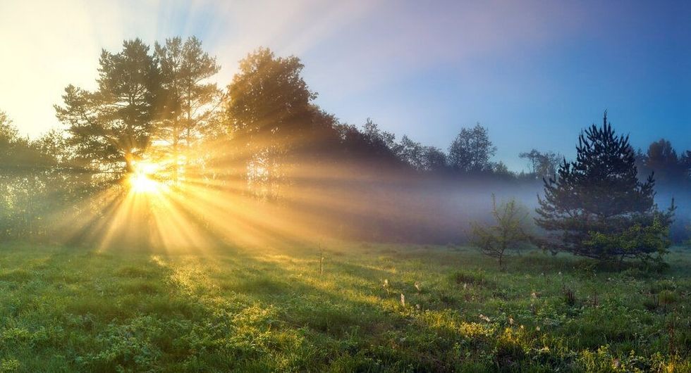 beautiful panorama landscape with sun and forest and meadow at sunrise.