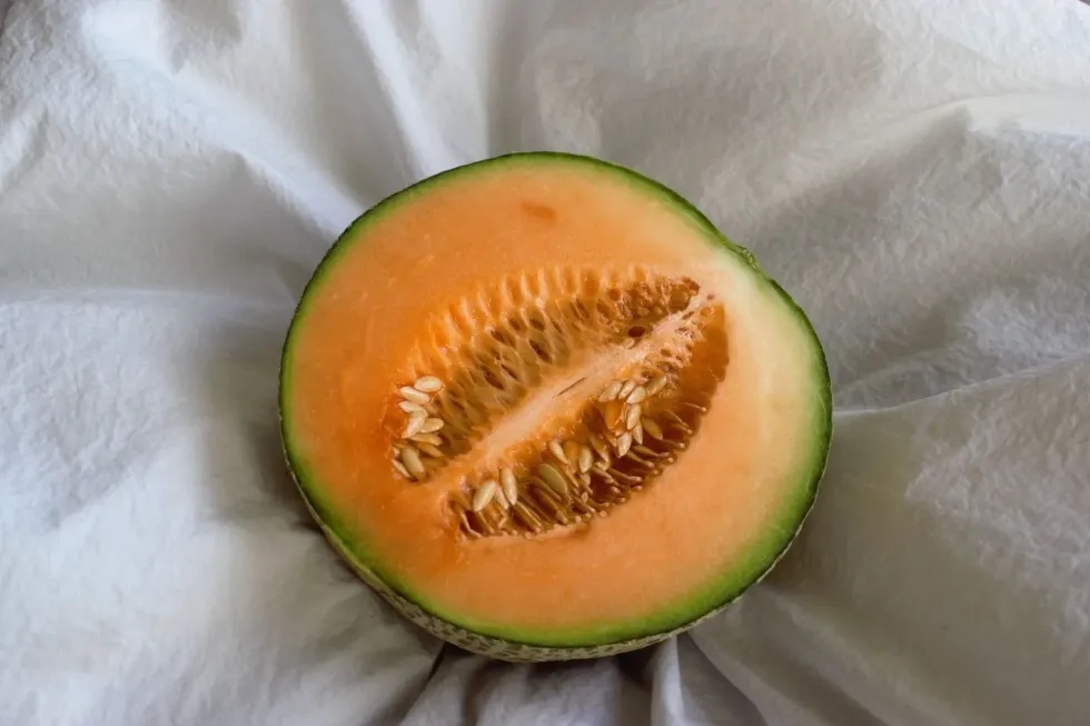 Being highly nutritive, check these amazing cantaloupe seeds nutrition facts that you should probably know.