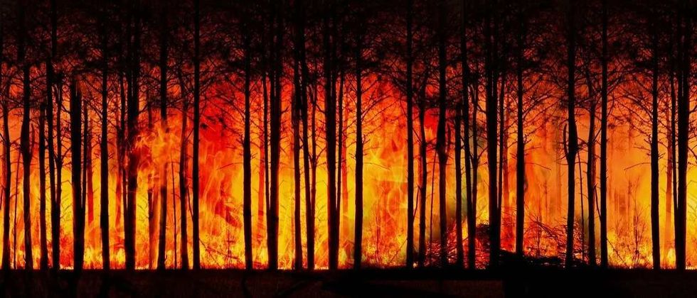 Besides causing extensive damage to the environment